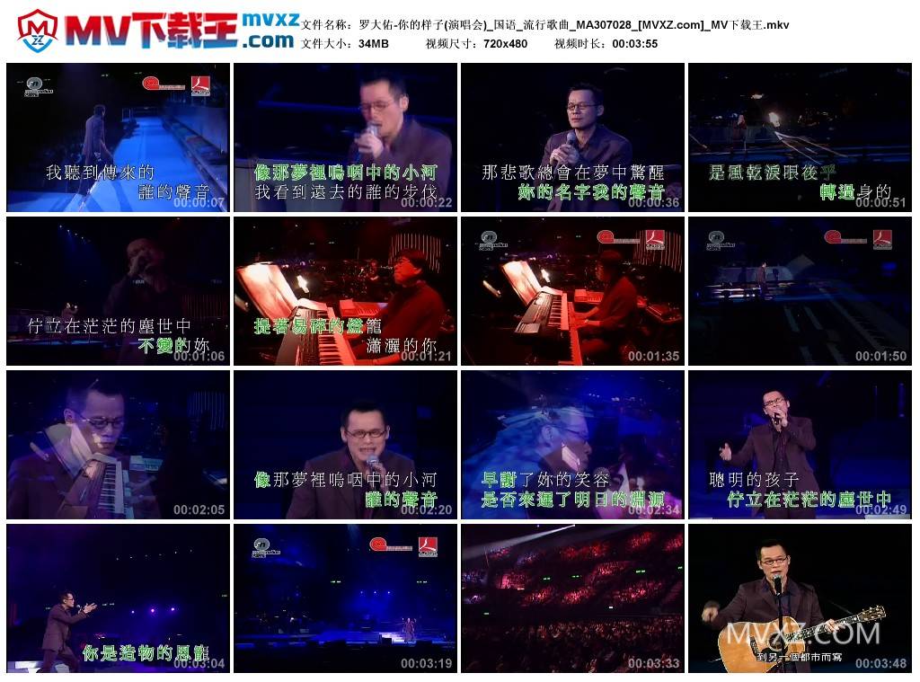 罗大佑-你的样子(演唱会)_国语_流行歌曲_MA307028